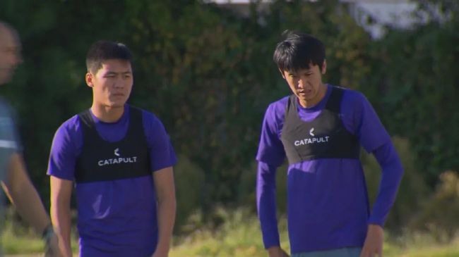 在线视频一区二区三区在线播放