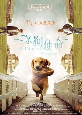 偷窥隔壁的人妻