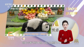 亚洲欧美在线视频